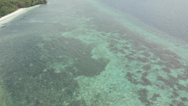 Aerial: Flying over tropical beach turquoise water coral reef , Tomia island Wakatobi National Park Indonesia Maldives Polynesia white sand beach. Native cinelike D-log color profile