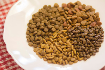 Several types of dry food for cats and dogs on a white plate.