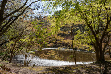 新緑の泉自然公園　千葉県千葉市若葉区