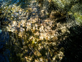 Reflections in the water in a cattle trough