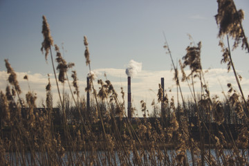 smoke from chimney