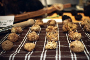 White Truffles (Tuber Magnatum Pico) on a trader stall, Piedmont (Italy)
