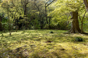 新緑の泉自然公園　千葉県千葉市若葉区