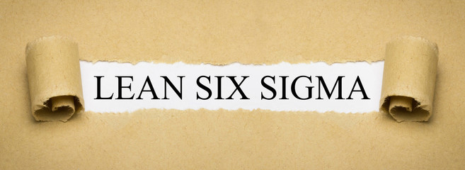 Lean Six Sigma