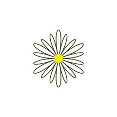 chamomile logo icon vector flower herb symbol