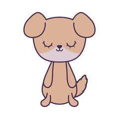 cute dog animal isolated icon