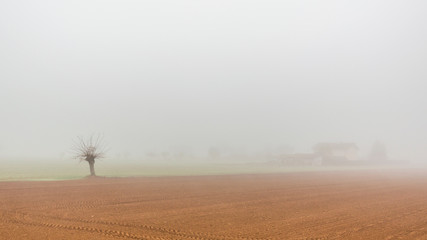 Fallow field in the Po valley with a thick fog