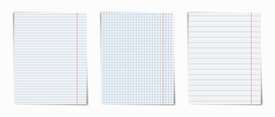 Notebook pages set .