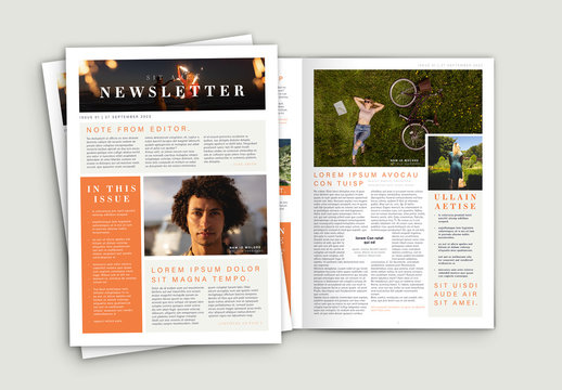 Newsletter with Orange Accents
