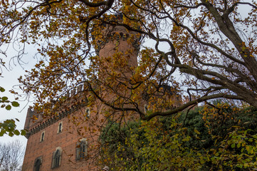 Park in the center of Turin in the autumn