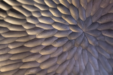 Abstract unusual texture in the form of scales or wings from a wooden blank of silver color