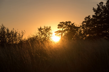 The rays of the setting sun