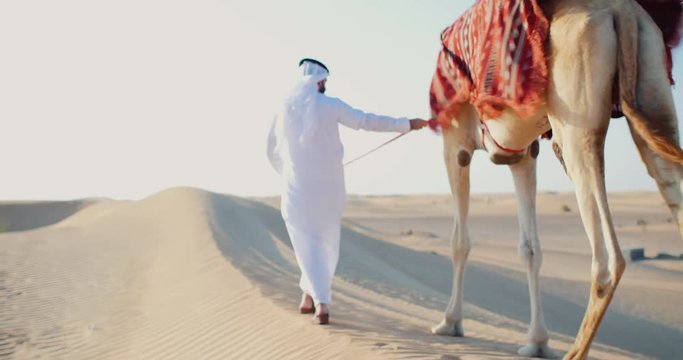 Man wearing kandura traditional clothes walking his camel in Dubai