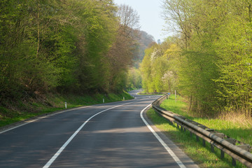 Obraz premium kurvige Landstraße im Wald