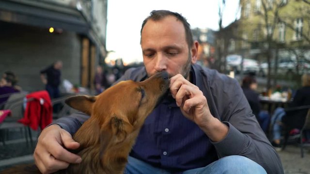 Man feeding his dog with snack in the city