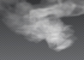 Transparent special effect stands out with fog or smoke. White cloud vector, fog or smog.