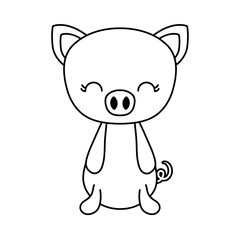 cute piggy animal isolated icon