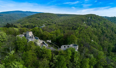 Ruins of a castle on a mountain covered by forest.