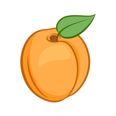 Illustration of Juicy Stylized Apricot Fruit with Leaf. Icon for Food Apps Isolated on a White Background