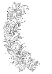 antistress coloring page with flowers and strawberries