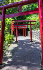 Row of traditional red Torii with entrance path to japanese Jigoku Meguri Shinto Shrine framed by a green landscape. Beppu, Oita Prefecture, Japan, Asia.