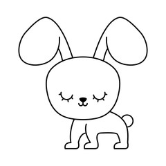 cute rabbit animal character