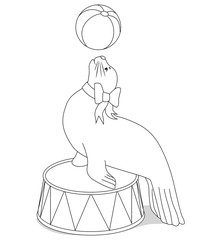 Circus seal with a ball for coloring book