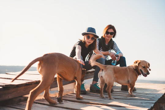 Mother And Daughter Sitting On A Wooden Deck With Two Dogs