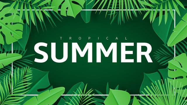 Tropical summer bakground with leaves. Vector illustration with tropical leaves in paper cut style on dark green background with white frame.