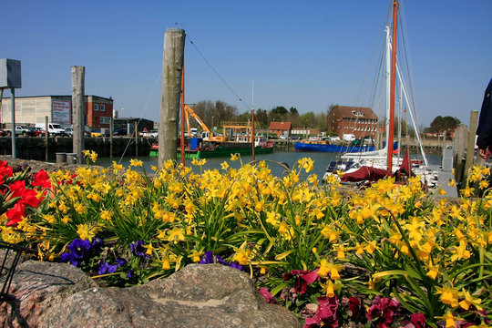 Marina of Wyk