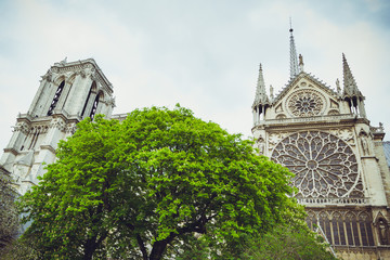 Paris, France - 19.04.2013: Notre-Dame de Paris