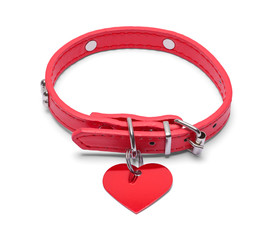 Dog Collar with Heart Tag