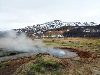 geysers in iceland