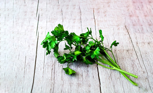 Fresh parsley leaves on old wooden background. 
