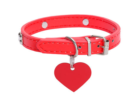 Red Dog Collar With Heart Tag