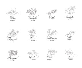 Watercolor graphic. Underwater world.