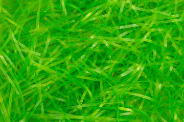 Easter green grass background for the holiday