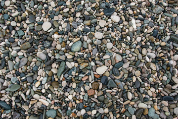 wet beach pebbles. natural texture. copy space