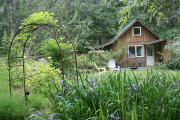 Forest cottage