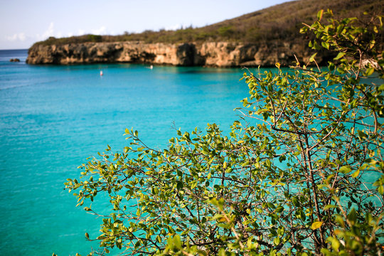 Playa Kenepa Grandi beach on Curacao