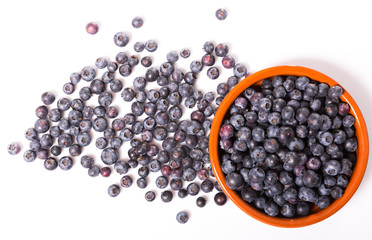 Many blueberries on white background