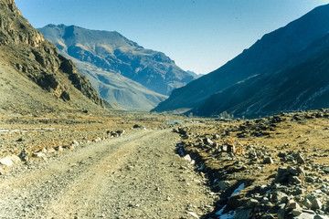 Yaks auf der Hochebene von Tibet