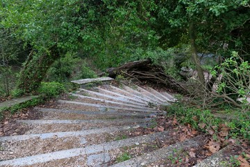 old steps leading into the depths of the forest