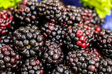 Wild Fruits