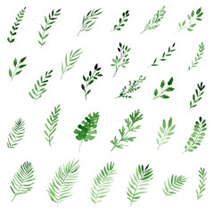 set of watercolor tropical leaves