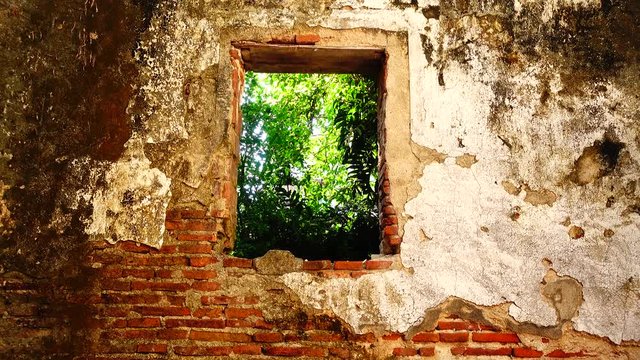 4K Grungy urban background of a brick old more than 150 years grungy texture grey concrete tree on window wall texture patterns	