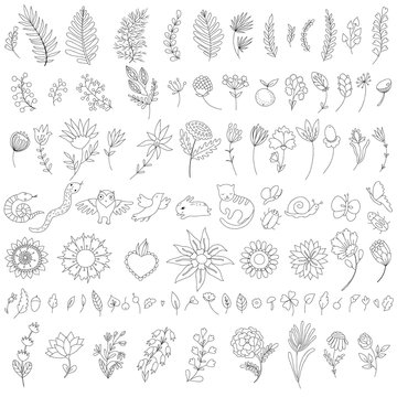 collection of hand-drawn flowers, branches, leaves and animals. Set of botanical doodles