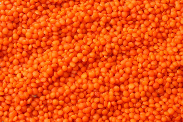 red lentils background. red lentils texture. Top view.