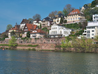 Fototapeta na wymiar Prachtvolle Häuser in Heidelberg am Neckar