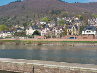 Heidelberg am Neckar
